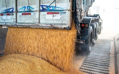Conheça os principais cuidados no transporte de grãos