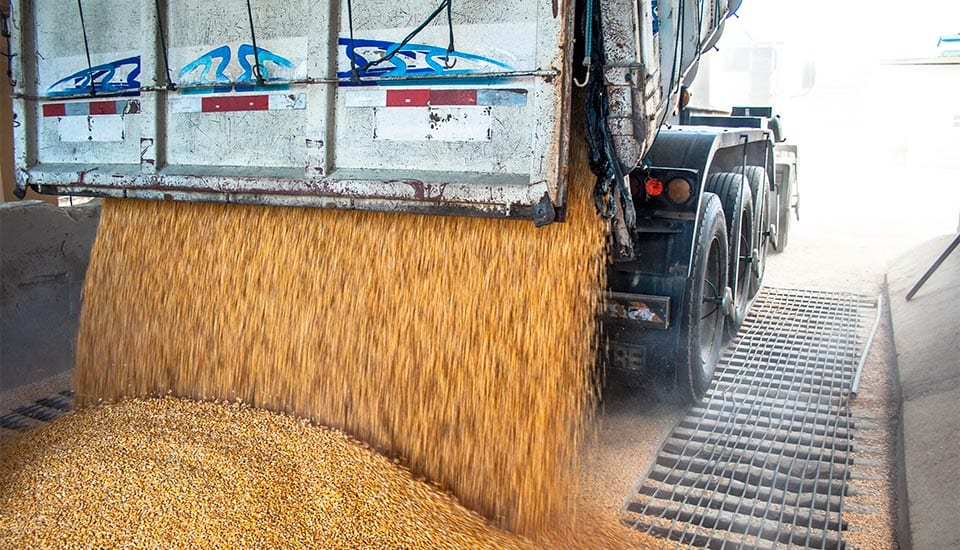 Conheça os principais cuidados no transporte de grãos - PagBem