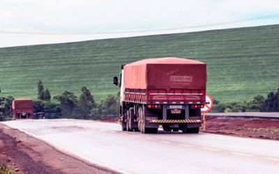 Seu bruto pode durar mais. Dicas para que seu companheiro de longa data continue com você