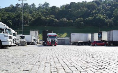 TMS: como esse sistema facilita o trabalho das transportadoras?