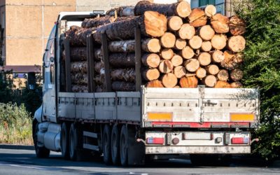 Transporte de madeira: o que você precisa saber?