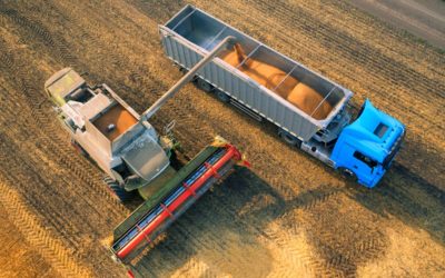 Transporte de carga a granel: como fazer?