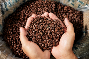 A Importância da Logística na Produção e Exportação de Café no Brasil